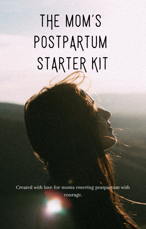 The Mom's Postpartum Starter Kit